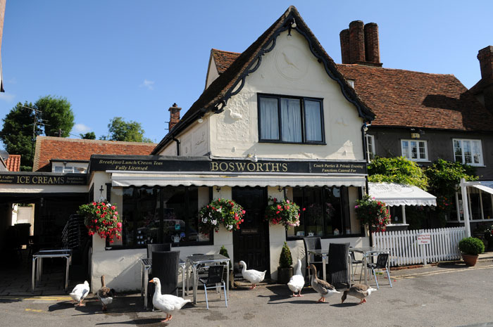 Bosworth's Tea Rooms